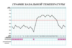 График базальной температуры при беременности