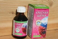 Настойка красной щетки при лечении эндометриоза