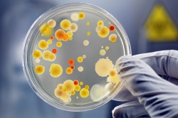 Влияние перенесенной бактериальной инфекции на менструальный цикл